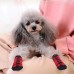 OEM Adjustable Anti-Slip Dog Cat Socks with Rubber Reinforcement