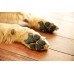 PawFriction - Paw Pad Traction - Increase Your Dogs Quality Of Life (Packaging may vary)