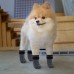 Dog Socks for Hardwood Floor with Strap Indoor Anti Slip Knit Paw Protector Traction Control