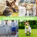 Dog Socks for Small Medium Dogs Dog Indoor Socks Anti Slip Dog Socks Dog Socks with Grippings for Hardwood Floors Indoor (Medium)