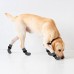 Double Side Anti-Slip Dog Socks with Straps, Soft Comfortable Pet Paw Protectors for Indoor Hardwood Floor Traction Control