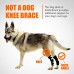 Rear Leg Hock Brace with Metal Spring Strips, Dog Leg Brace for Rear Leg, Hock & Ankle Support, Rear Dog Leg Brace for Large Dogs, Long Version, XL, 1 Pair