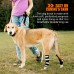 Rear Leg Hock Brace with Metal Spring Strips, Dog Leg Brace for Rear Leg, Hock & Ankle Support, Rear Dog Leg Brace for Large Dogs, Long Version, XL, 1 Pair