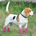 Printed Small Dogs Socks Soft Breathable Cotton Pet Socks Cute and Lovely for Small Dogs and Cats. (Pink, 4)
